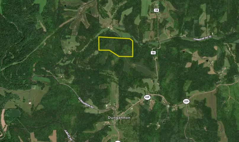 Screenshot 2024-08-26 at 3.03.45 PM