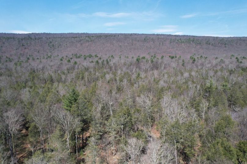 dji_fly_20260330_125150_569_1775656555407_photo