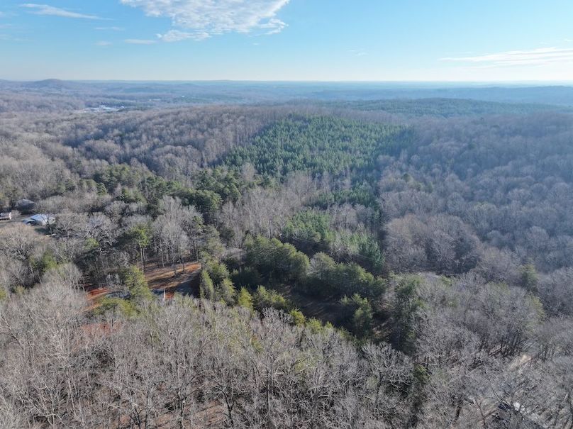 dji_fly_20260122_090336_0471_1769105764490_photo