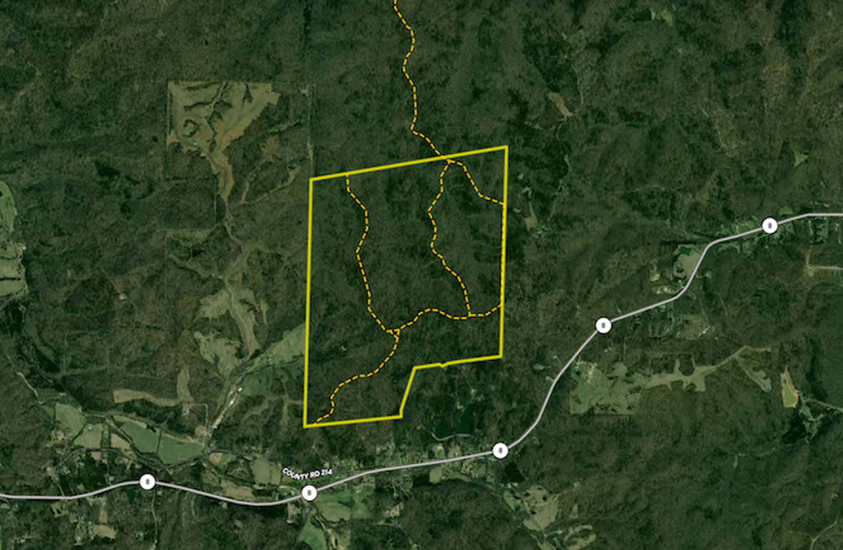 Screenshot 2025-08-13 at 10.53.46 AM