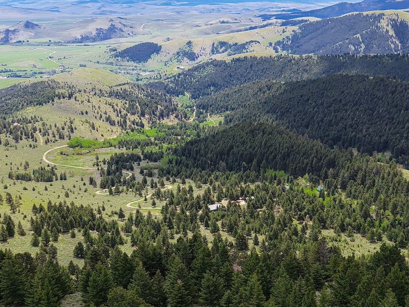 20250604105155_0088_D