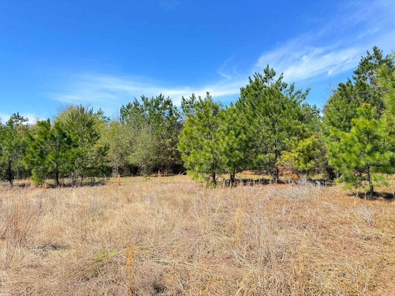 F9BD8F60-2680-4D31-9AB5-FA3C87CACBD9