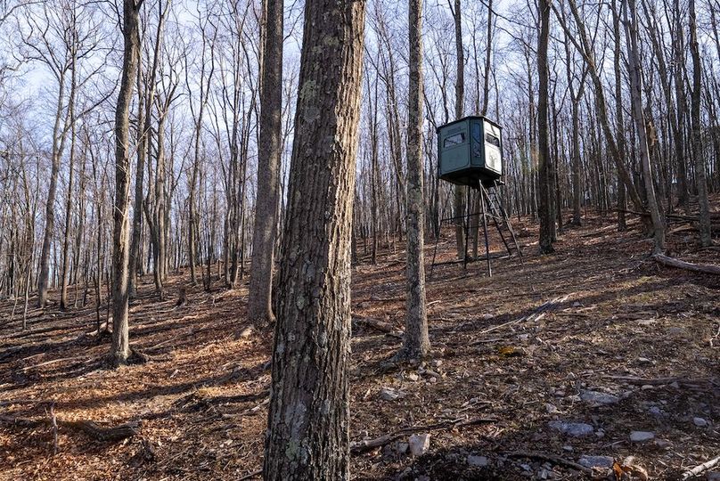 Copy of Hampshire WV 200 Featured_Pro Photo-7