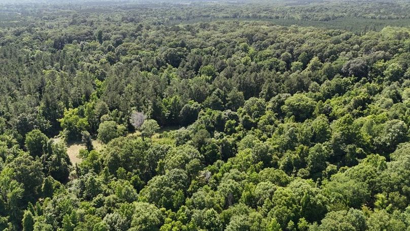 dji_fly_20250526_044136_0012_1748267937784_photo