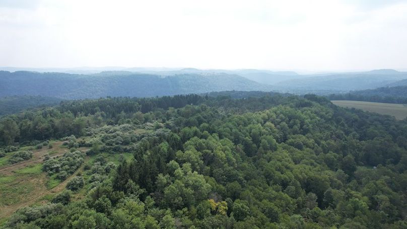 dji_fly_20250806_152016_618_1754528901869_photo