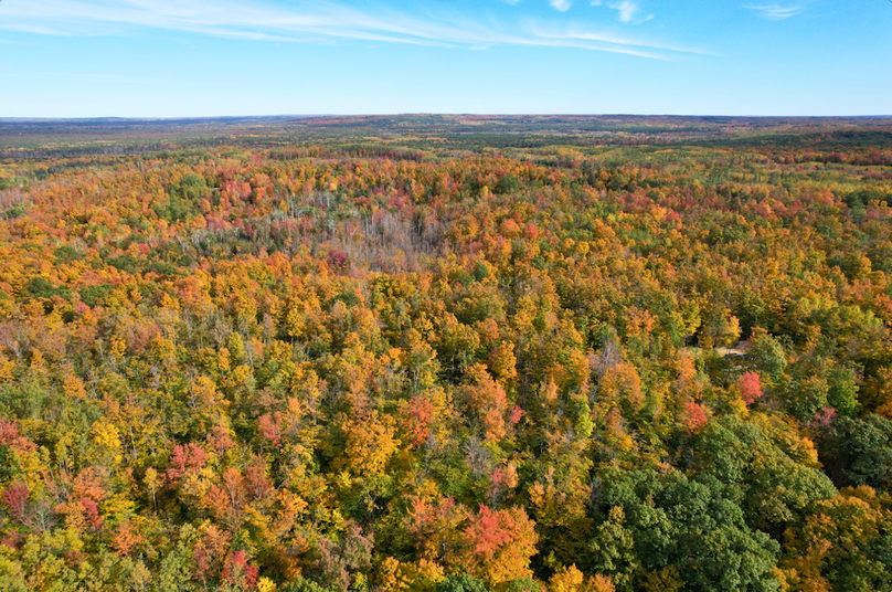 Screenshot 2025-10-29 at 11.33.55 AM