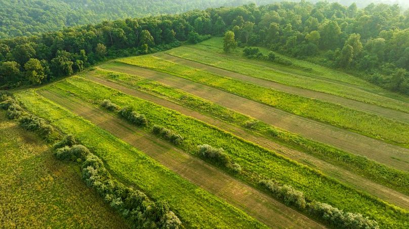 Orvis Listing Photos52