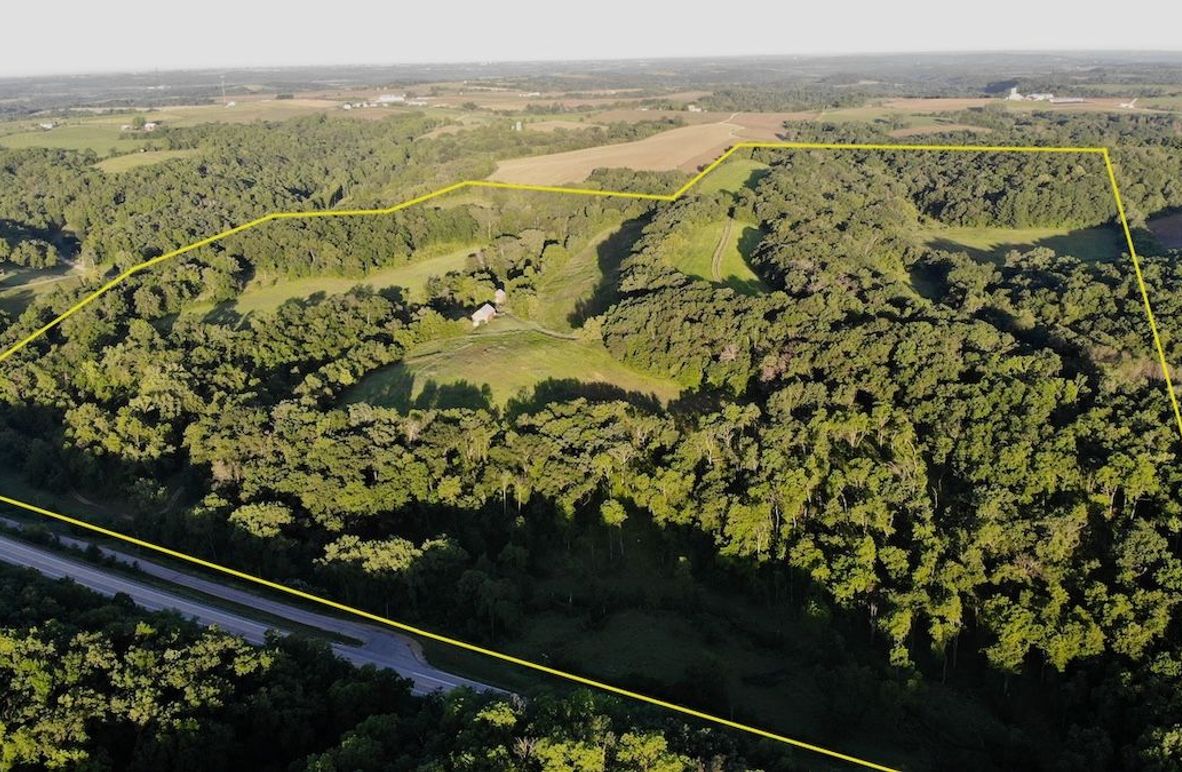 Grant 155.25 - 2 of 57