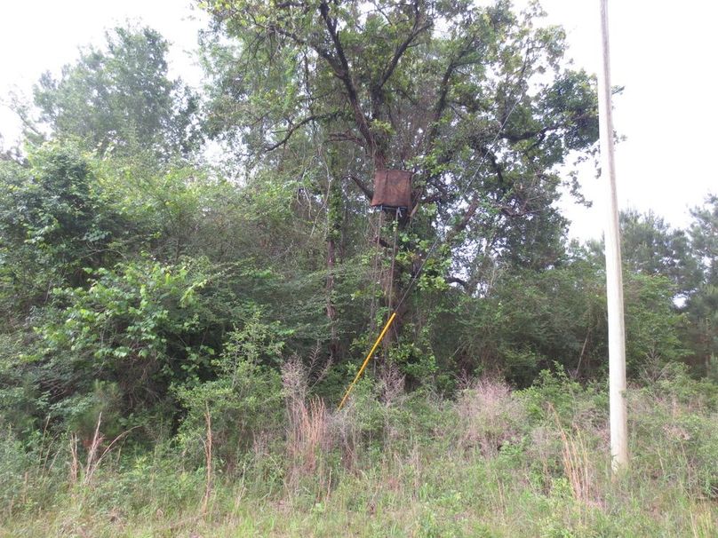 45C2D066-932B-4C22-9CEB-1771325108B7_1_105_c