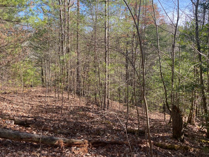 Cherokee 7.47 Herzog-12