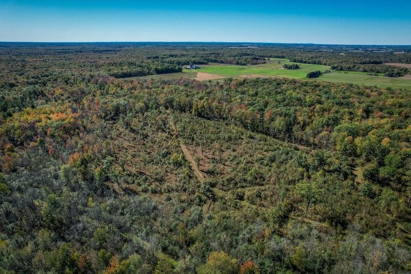 Wood 41.451, Collins -54