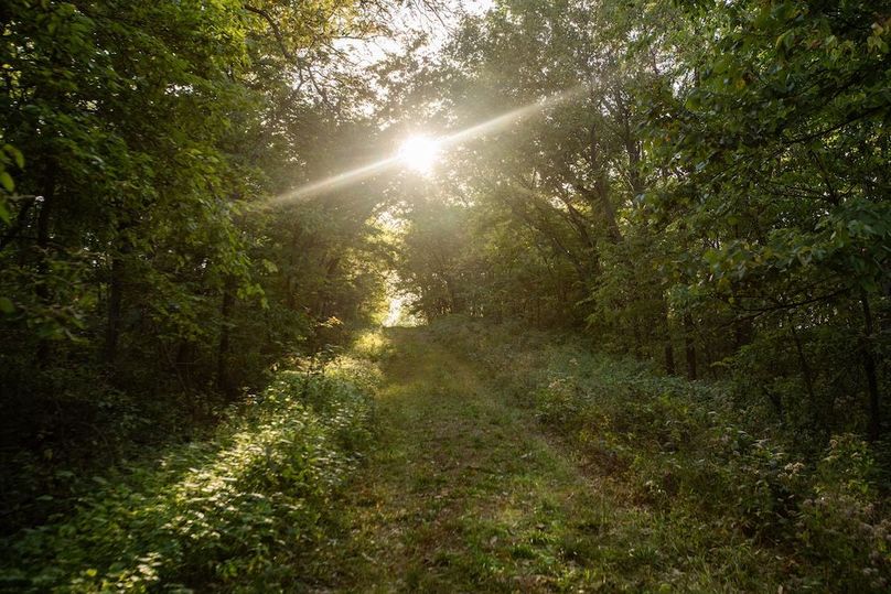 Copy of POTTAWATTAMIE CO IA 311 TRACT 3_9