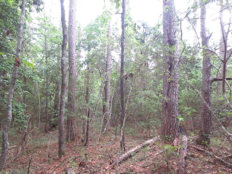 9F5EACC3-7897-4918-ABFA-CB4ADF3AD7F5_1_105_c