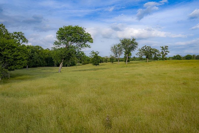 Holman Ranch-62