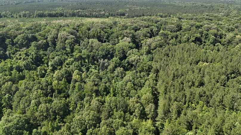 dji_fly_20250526_044108_0009_1748267934477_photo