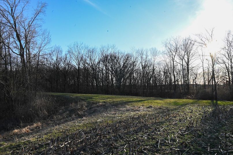 vandalia 450 (2)-2190