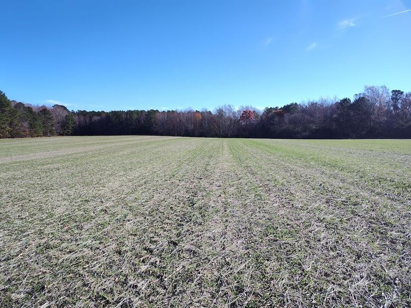 IMG_20251124_104927626