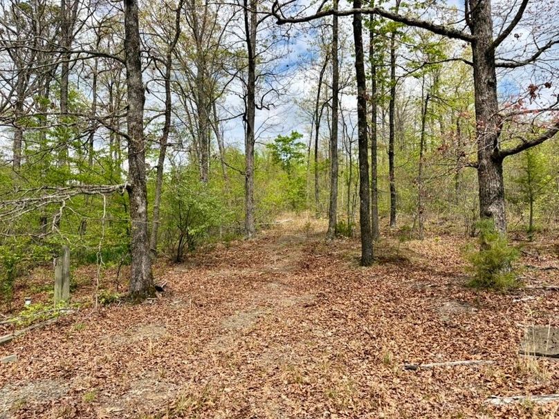 5954089B-6DE8-4FC1-835B-F23D7363849F_1_105_c-2