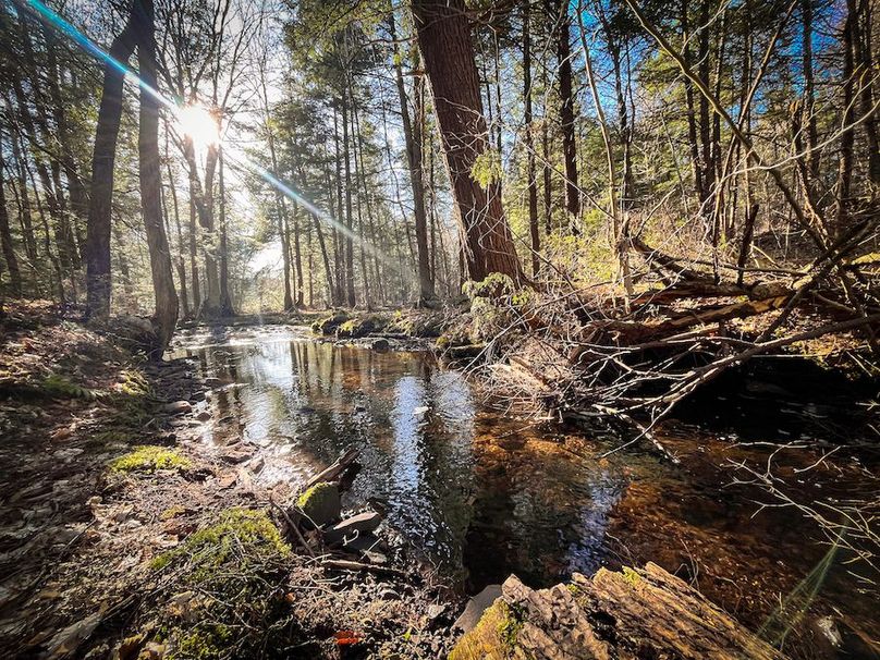 Oswego_17.88_Feld_Photos_74