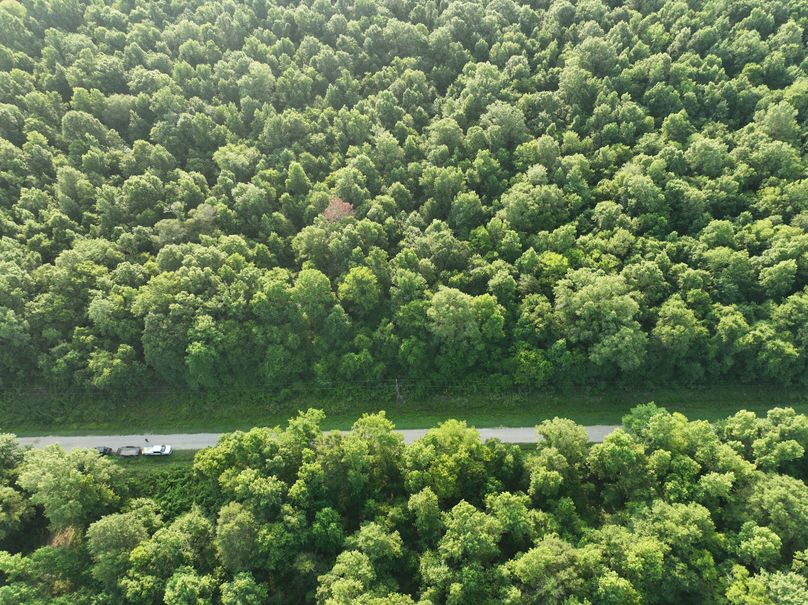 dji_fly_20230630_080854_203_1688137739288_photo