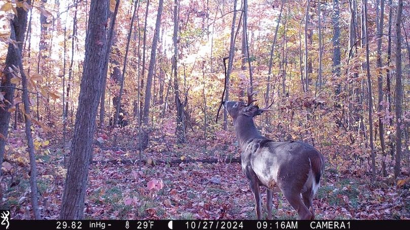 Trail Cam.16