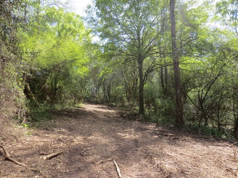 134B65A9-872E-4F23-9829-A5F66D64ECFD_1_105_c