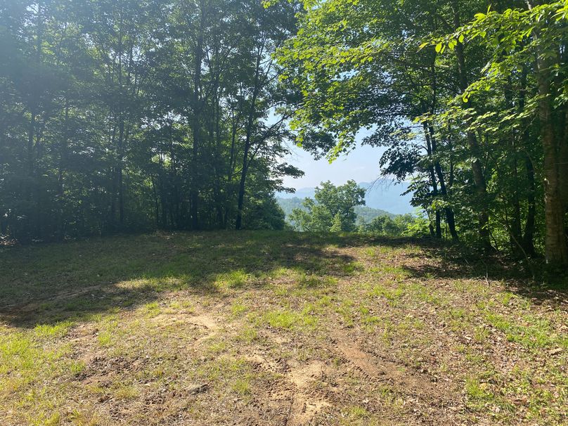 Macon 3.38 Bloodworth-08