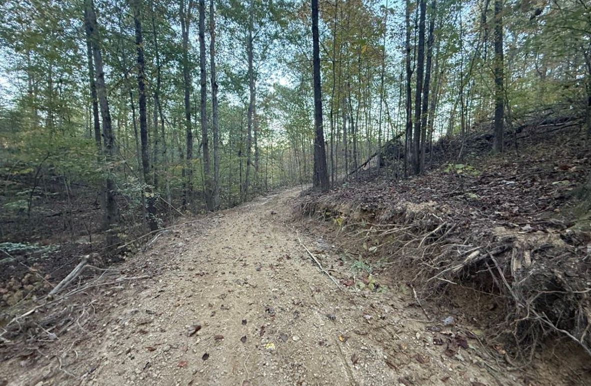 005 some of the open trail system leading up to the west area of the property