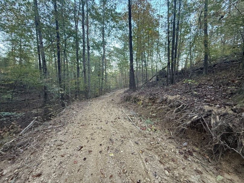 005 some of the open trail system leading up to the west area of the property