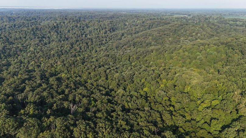 DJI_20250808085401_0715_D