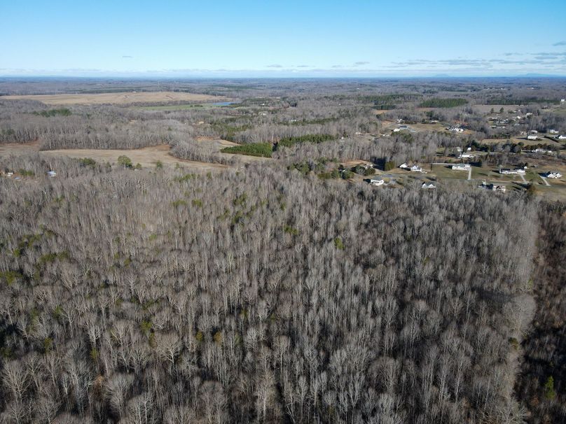 Copy of dji_fly_20240129_092022_763_1706538141261_photo