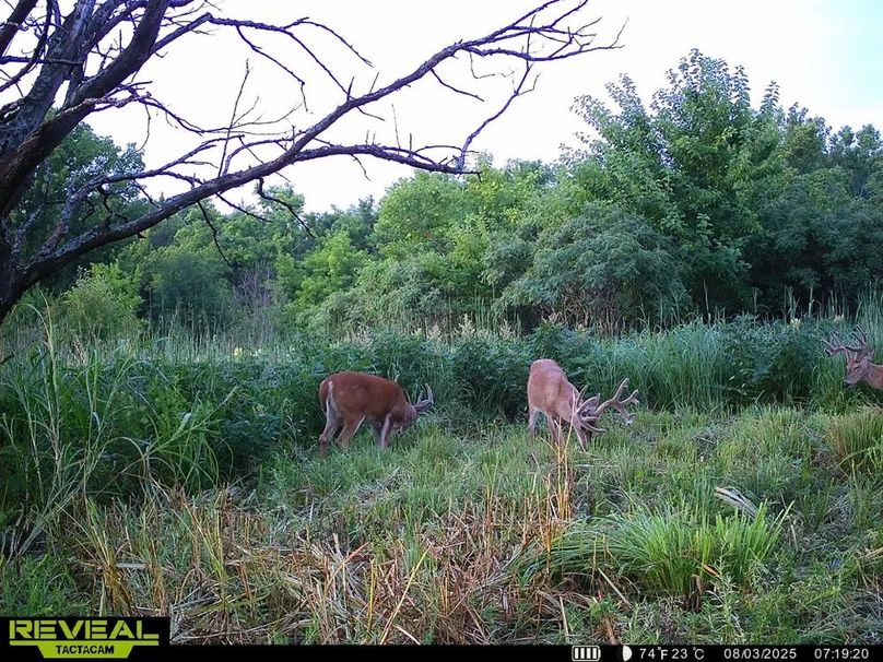 860322065515287-100-4-08032025162925-HD-SYEW0516