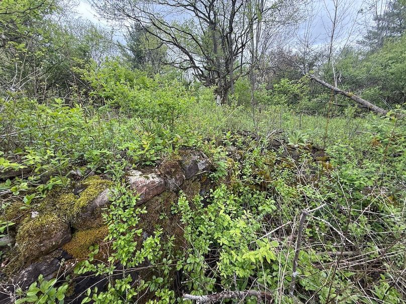 Tompkins_10.01_Llivichuzhca Photo 8