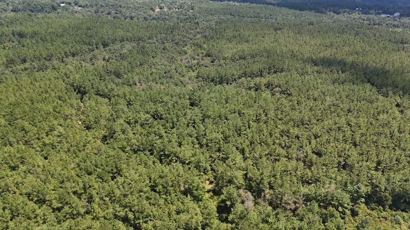 DJI_20240812131058_0012_D