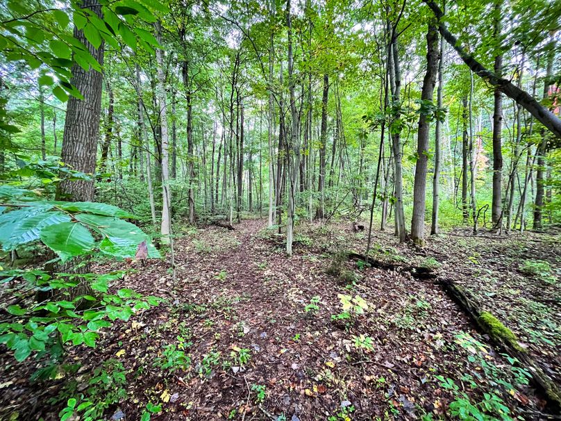 Ontario_16.2_Eddington Photo 15