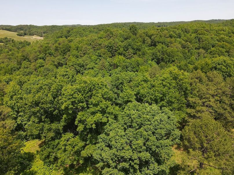 dji_fly_20260514_121218_797_1778778751987_photo