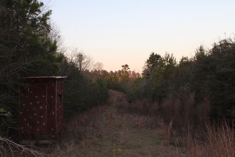 61B7EB2A-0F38-407F-AB7F-FFBDC2B867AA_1_105_c