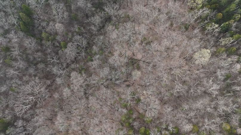 DJI_20250329094007_0273_D