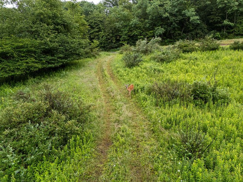 DJI_20250702041913_0011_D