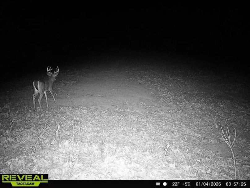 865814043110707-0-4-01042026035724-W1165872