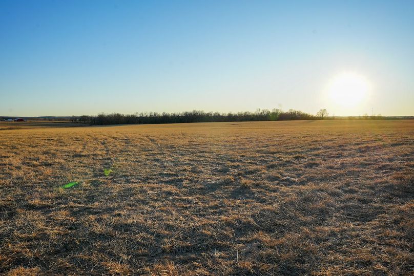 DSC02484bluestem