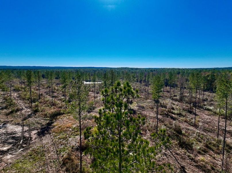 D72A3123-0371-415D-B72D-A455553D988D_1_201_a