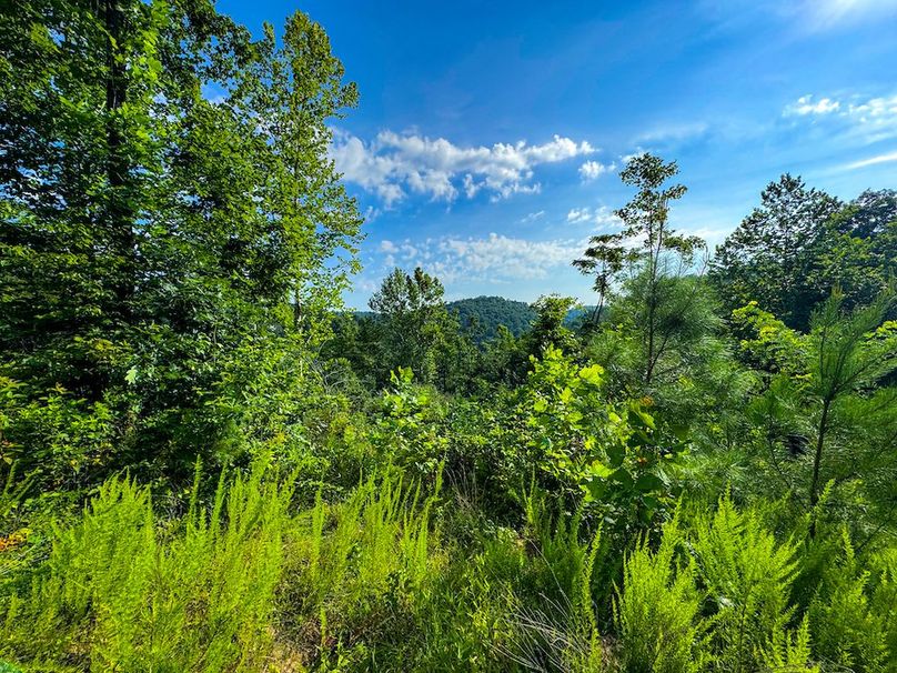 Lewis, WV 82.87 AC Barger-081