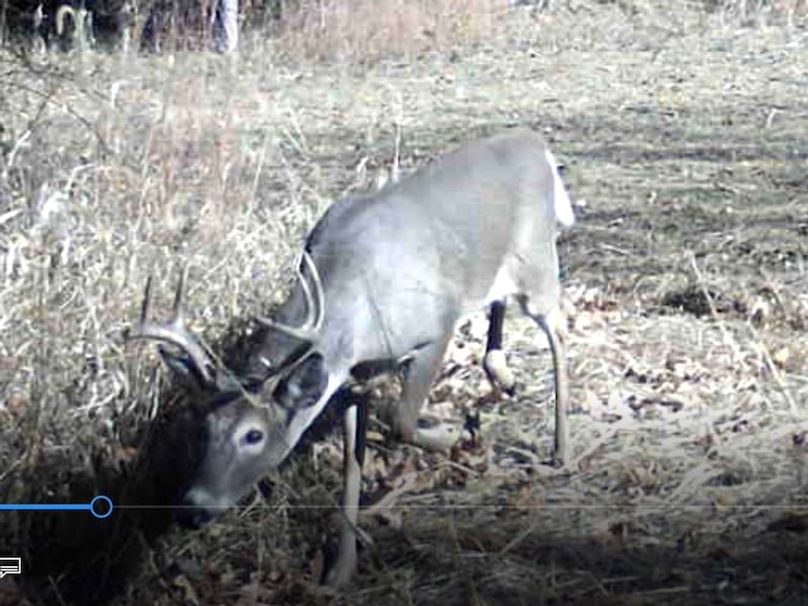 Screenshot 2024-03-02 133520