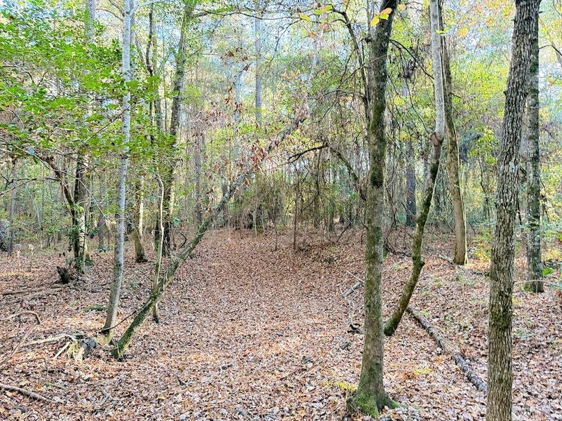 D3A21F1C-235F-495B-87CC-5F63E0464F14