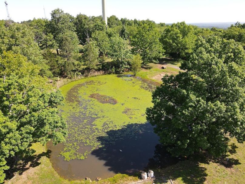 dji_fly_20240509_100918_78_1715267373320_photo