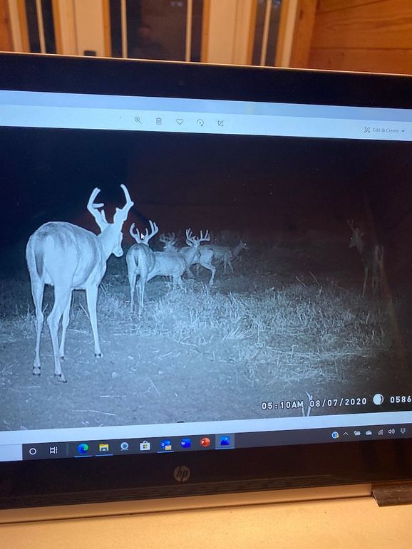 61888851554__51D35C12-6CB4-4001-A5C3-EFA2E39E14B5