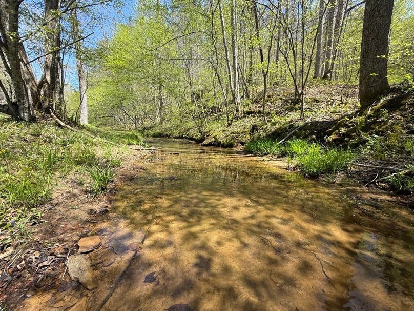 031 the quiet and meandering creek running in front of the cabin