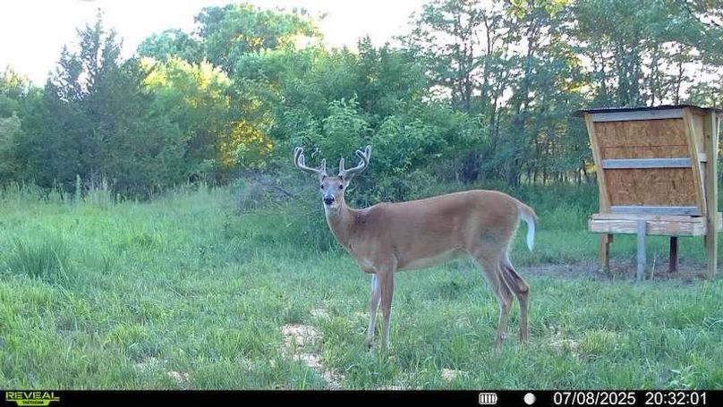 016578001722351-80-2-07082025203201-SYFW00794