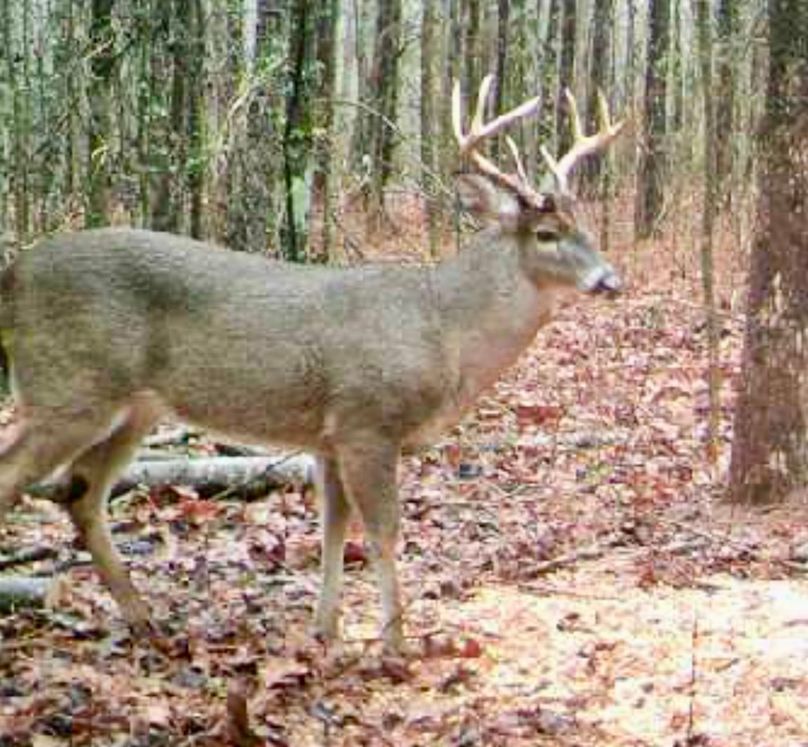 Screenshot_20231227_175847_Gallery